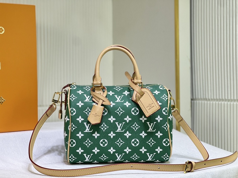 LV Handbags 210